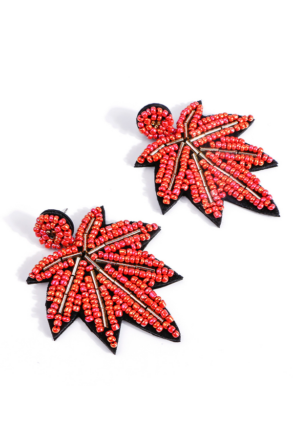 Fashion Earrings