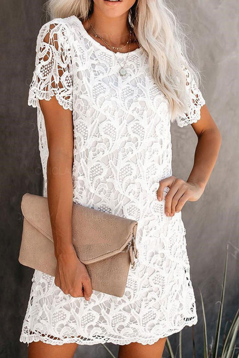 Casual Solid Lace O Neck Straight Dresses