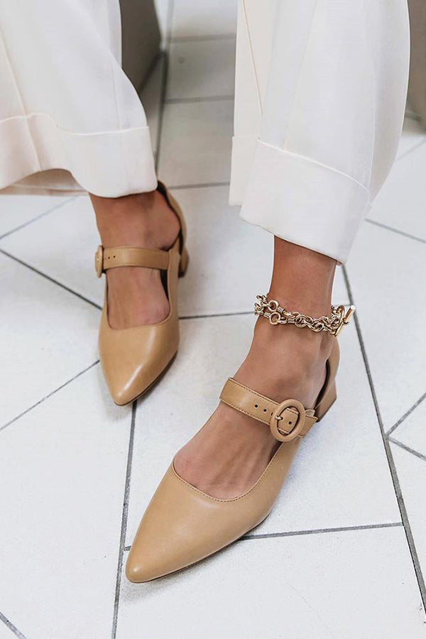 Pointed Toe Buckled Chunky Heels