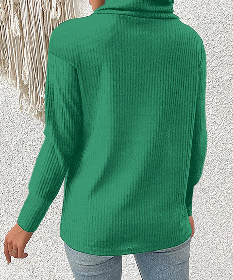 Casual Long Sleeve Turtle Neck Solid Blouse Top