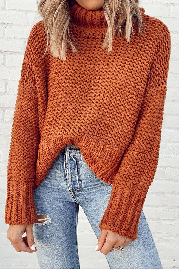 Warm Wishes Turtleneck Knit Sweater
