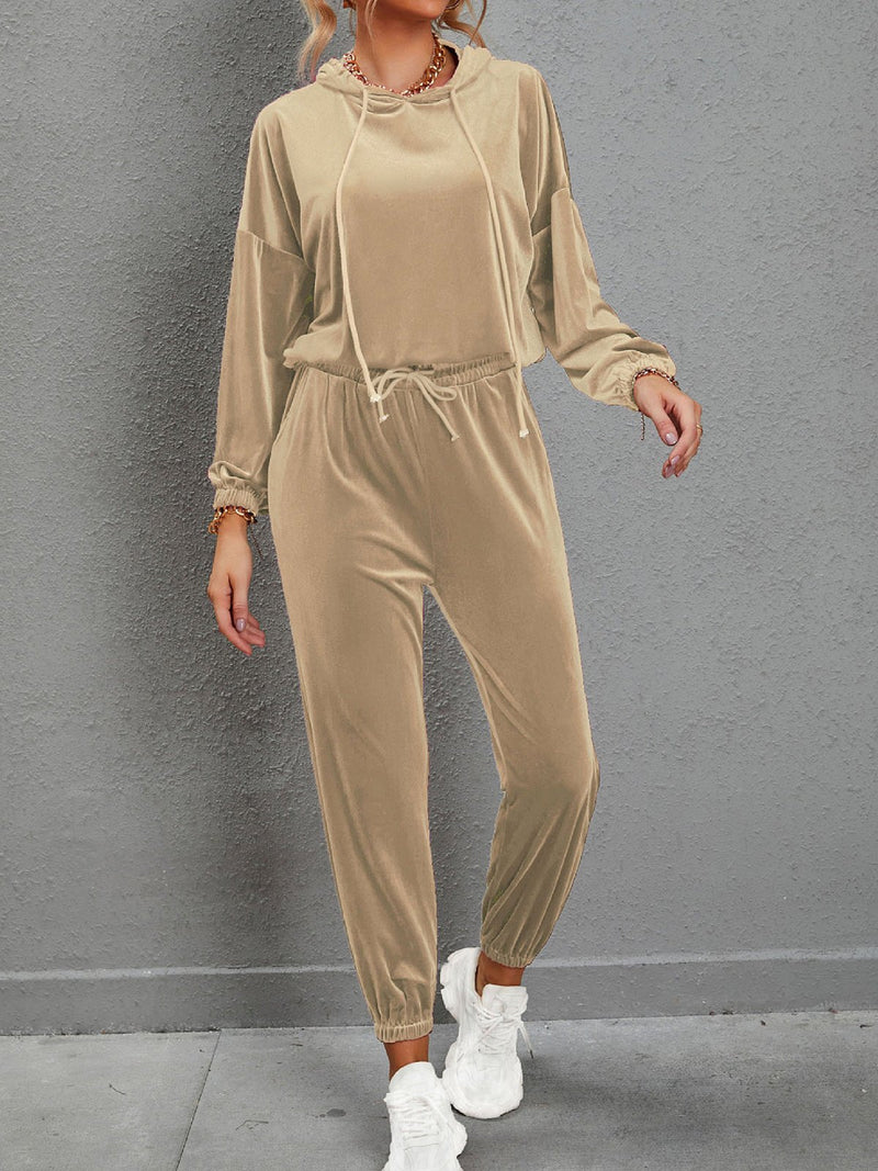 Women's Sets Solid Color Gold Velvet Long Sleeve Casual Set